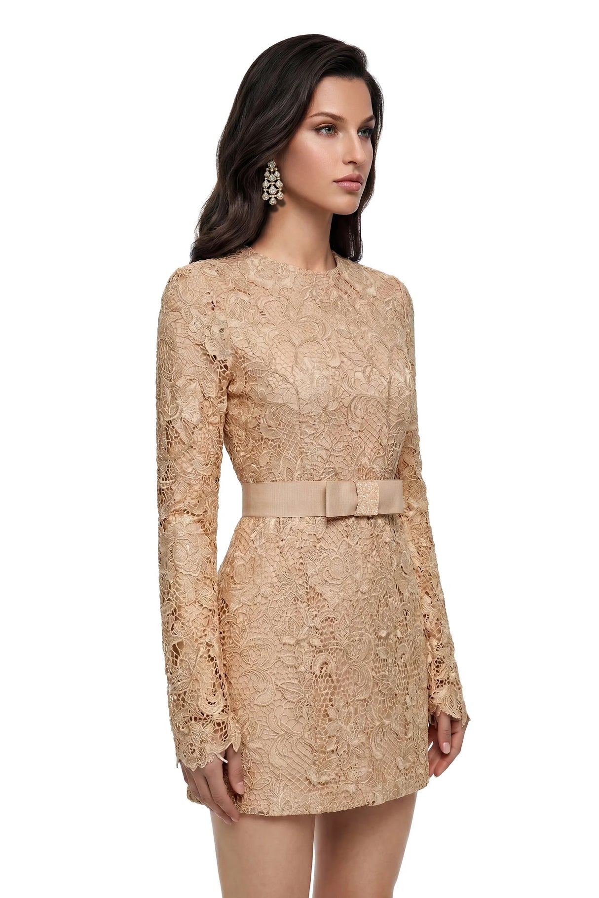 Aria Gold CutOut Floral Lace Mini Dress