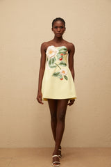 Abigail Yellow Floral Embroidered Mini Dress