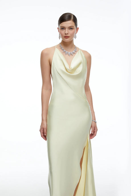 Amara Neutral Satin Cowl Neck Maxi Dress