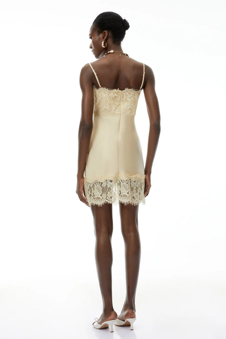 Anjelica Champagne Satin Mini Dress with Lace Panels