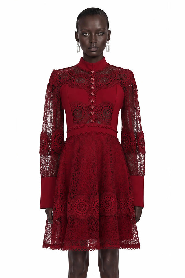Annie Burgundy Lace Stand Neck Mini Dress