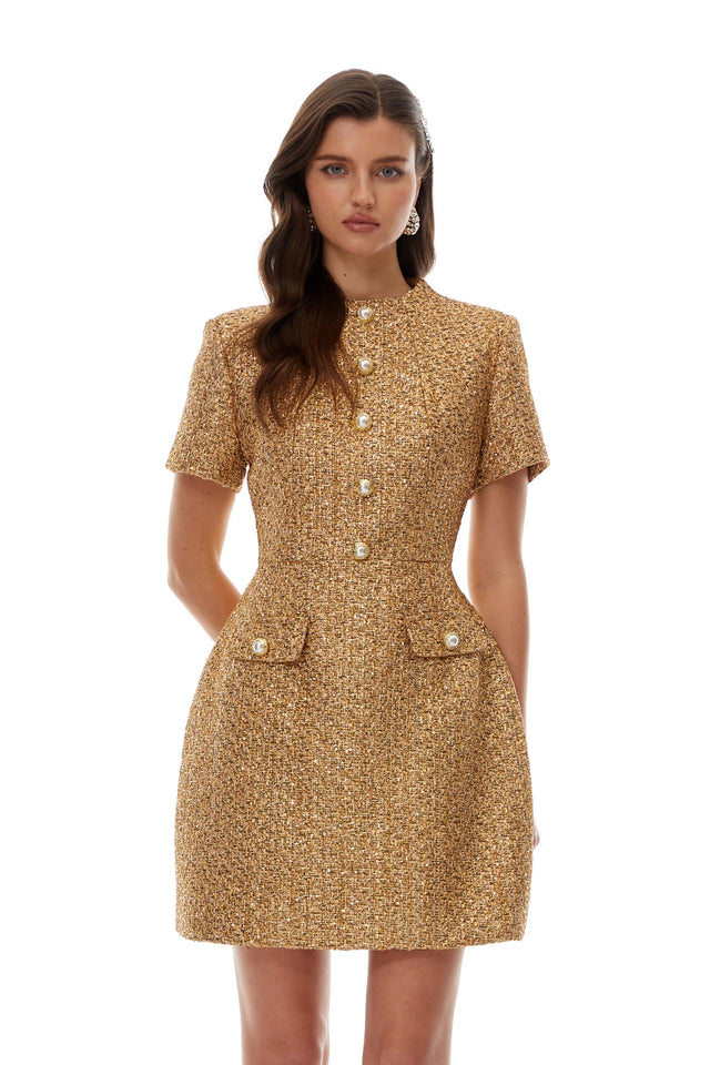 Arna Gold Round Neck Tweed Mini Dress