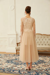 Aviana  Neutral Lace Panel Tulle Midi Dress