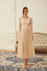 Aviana  Neutral Lace Panel Tulle Midi Dress