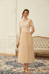 Aviana  Neutral Lace Panel Tulle Midi Dress