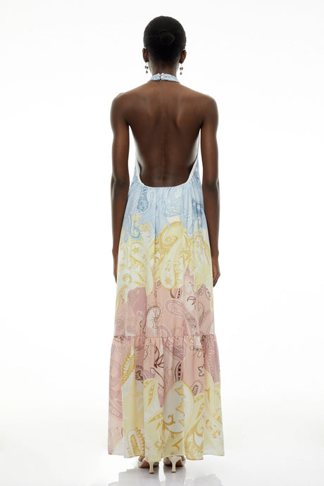Cassidy Multicolor Floral Maxi Dress