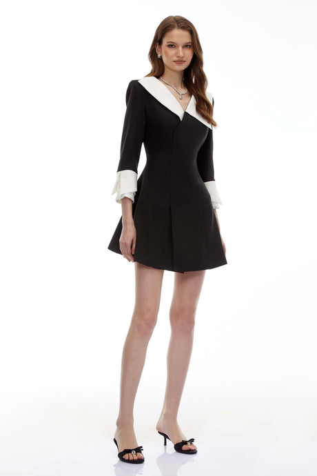 Celestine Black VNeck Color Block Mini Dress