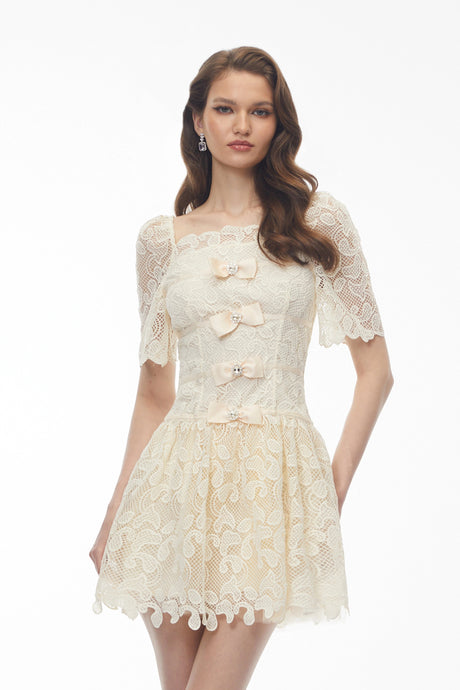 Laney Mini Dress White Lace with Embellishment