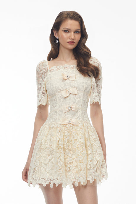 Laney Mini Dress White Lace with Embellishment
