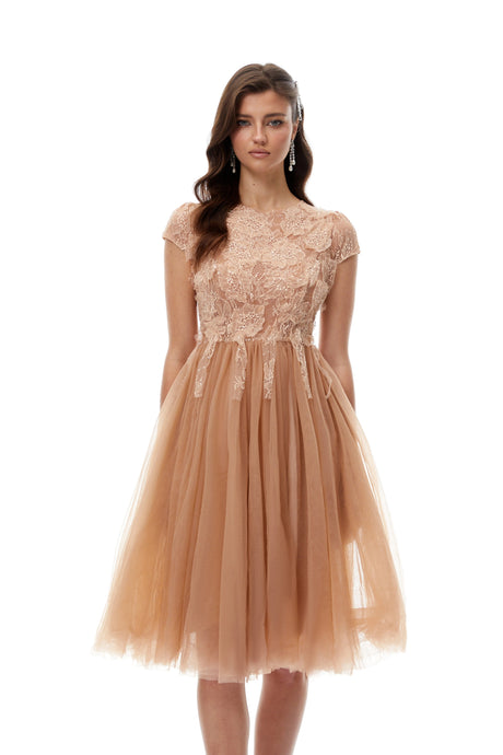Elena Midi Dress Brown Lace Panel Tulle