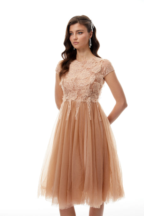 Elena Midi Dress Brown Lace Panel Tulle