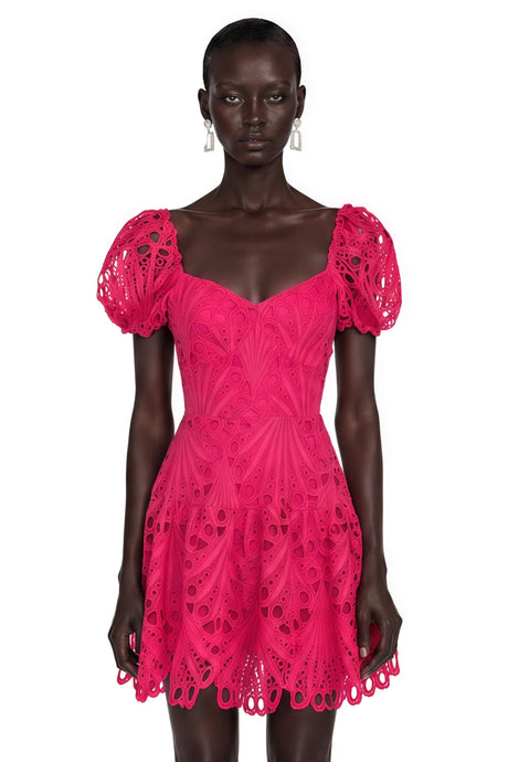 Rosaura Mini Dress Pink Eyelet Lace Puff Sleeves