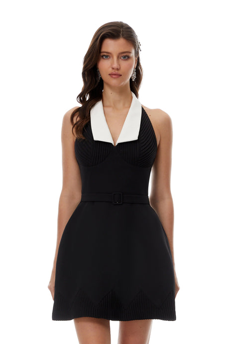 Fiorenza Mini Dress Black Color Block