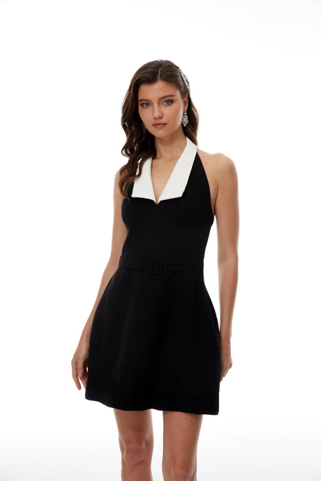 Fiorenza Mini Dress Black Color Block