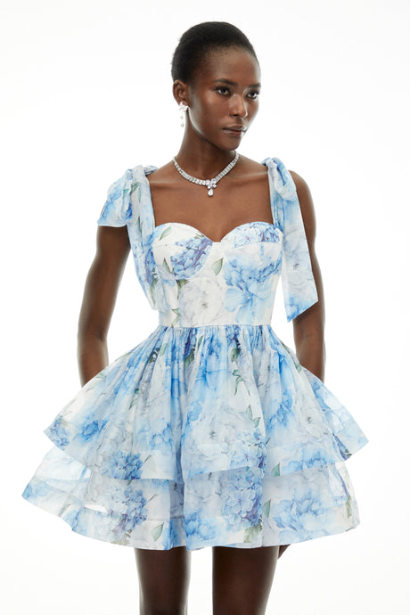 Hunter Mini Dress Blue Floral Print Flounced