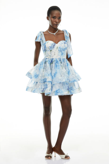 Hunter Mini Dress Blue Floral Print Flounced