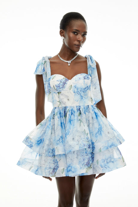 Hunter Mini Dress Blue Floral Print Flounced