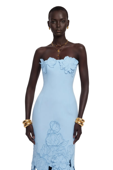 Wendy Maxi Dress Blue Strapless Floral Embroidered