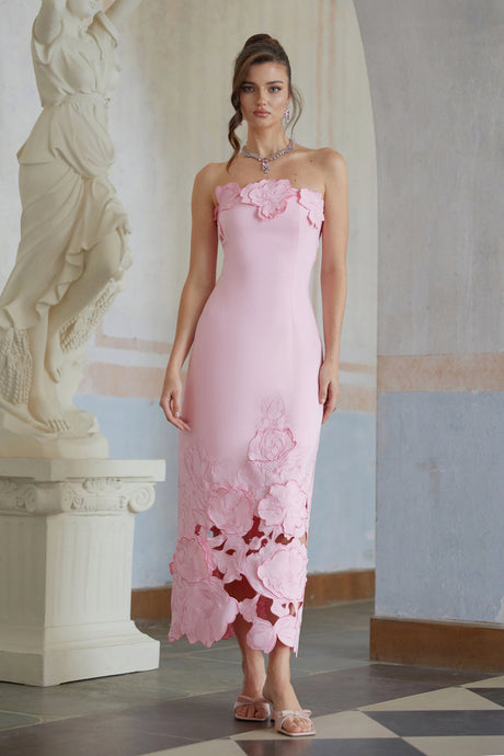 Carmina Maxi Dress Pink Strapless Floral Embroidered