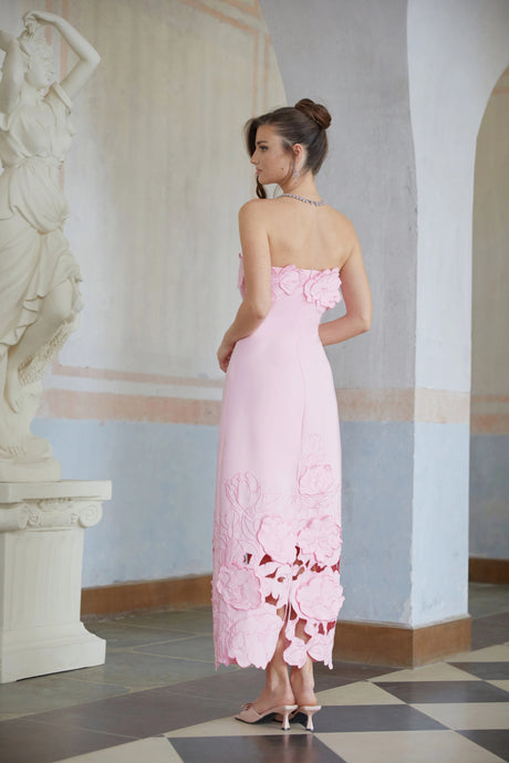 Carmina Maxi Dress Pink Strapless Floral Embroidered