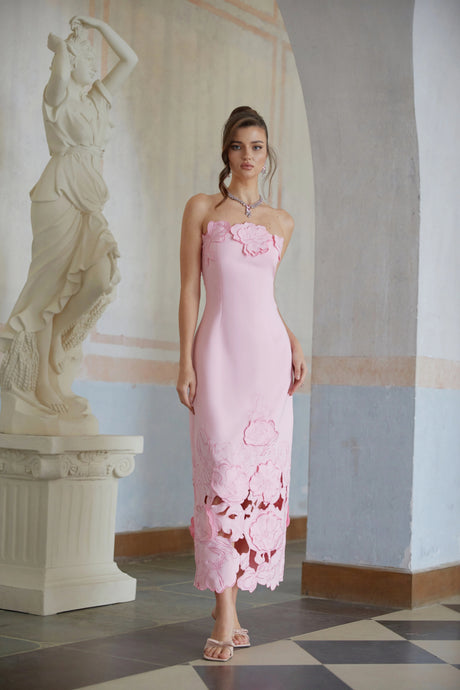 Carmina Maxi Dress Pink Strapless Floral Embroidered