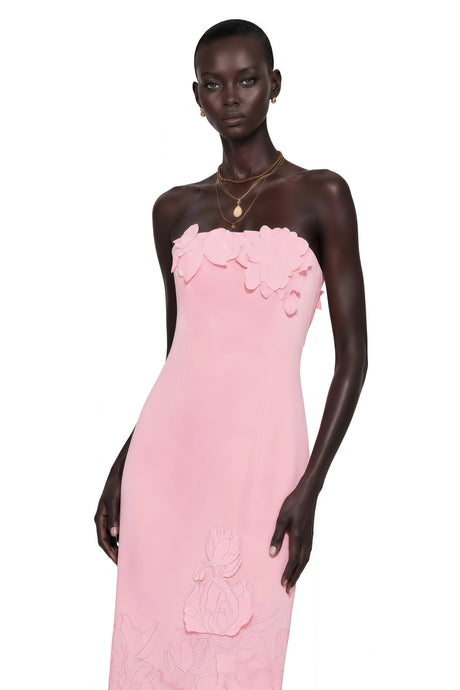 Mariachiara Maxi Dress Pink Strapless Floral Embroidered