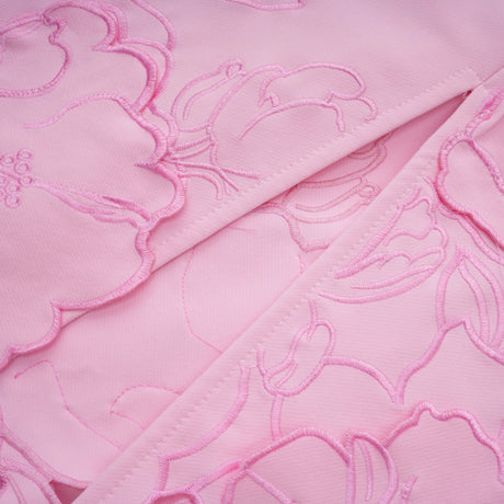 Inga Pink Strapless Floral Embroidered Maxi Dress