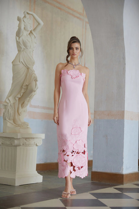 Carmina Maxi Dress Pink Strapless Floral Embroidered