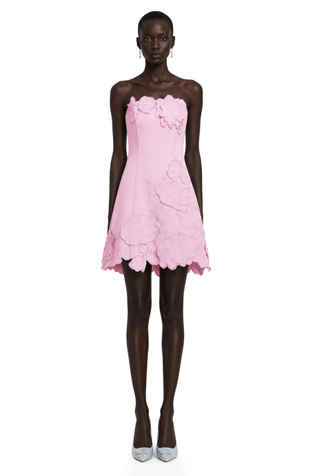 Rosangela Mini Dress Pink Strapless Floral Embroidered