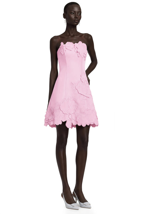Rosangela Mini Dress Pink Strapless Floral Embroidered