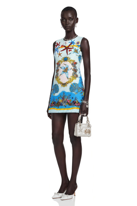 Tonia Mini Dress Blue Printed Sleeveless