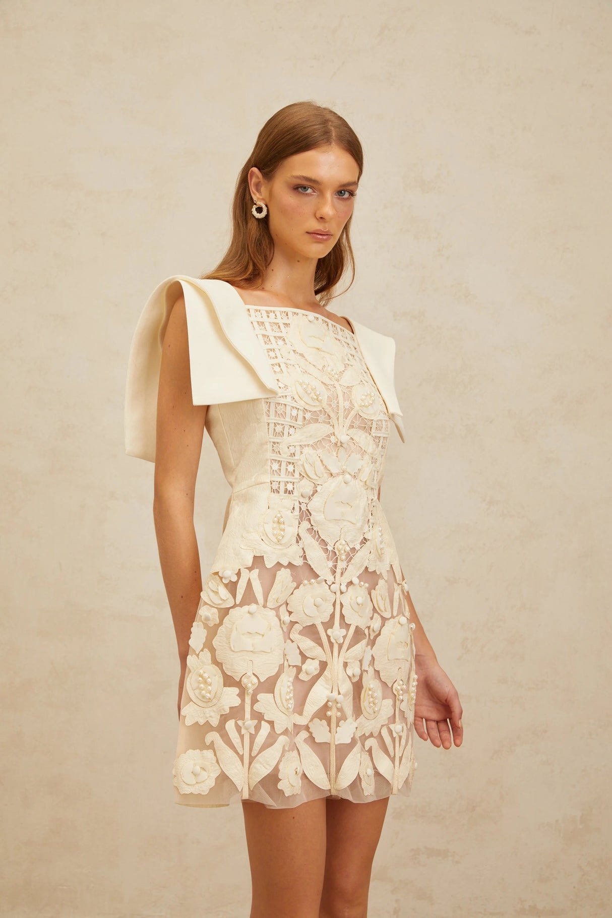 Léa White Floral Appliqué Crochet Mini Dress