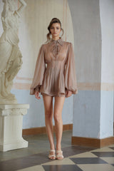 Linnea Brown Pleated Chiffon Dress  Shorts Set