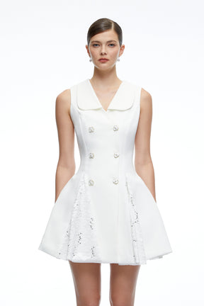 Margot White Lace Embroidered ALine Mini Dress
