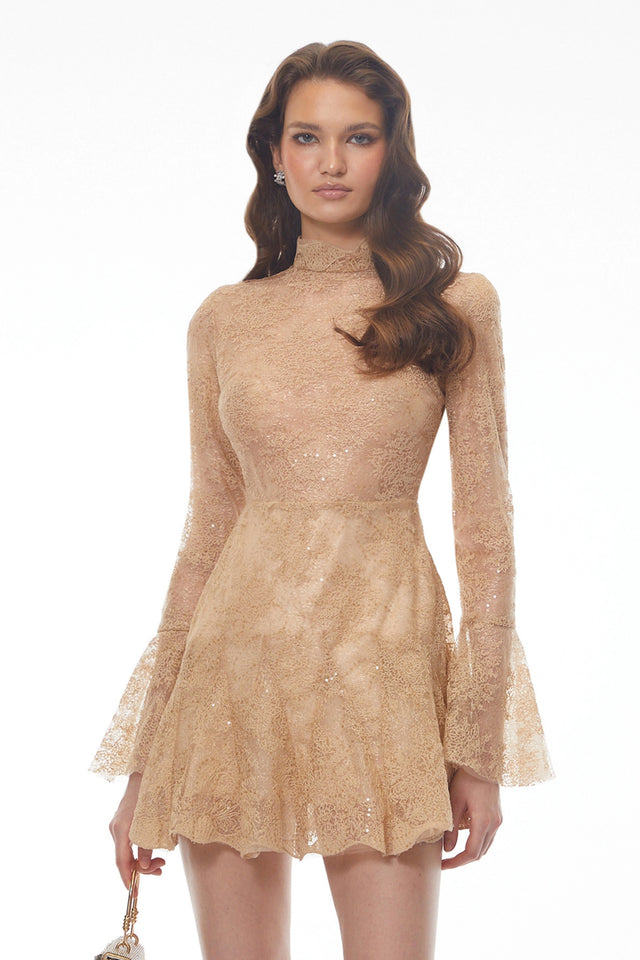 Nina Neutral Mini Dress with Lace Panels