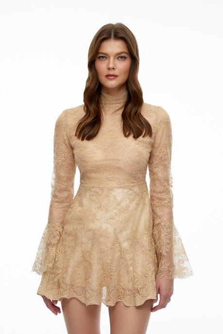 Nina Neutral Mini Dress with Lace Panels