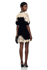 Nora Black Velvet Mini Dress with Lace Panels