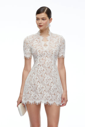 Orinthia White VNeck Lace Mini Dress
