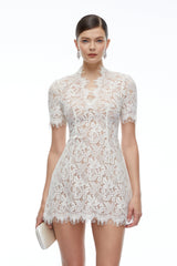 Orinthia White VNeck Lace Mini Dress