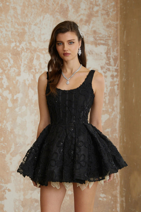Haley Mini Dress Black Floral Embroidered