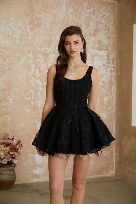 Haley Mini Dress Black Floral Embroidered