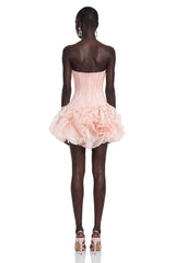 Rachel Pink Off Shoulder Ruffled Mini Dress with 3D Florals