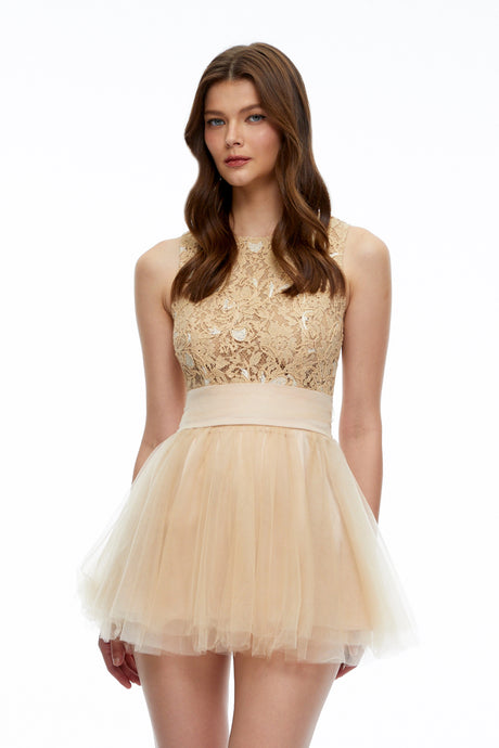 Giada Mini Dress Neutral Floral Lace with Mesh Panels