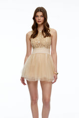 Rosa Neutral Floral Lace Mini Dress with Mesh Panels