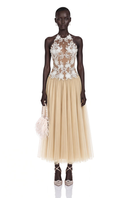 Priscilla Maxi Dress Neutral Floral Embroidered Pleated