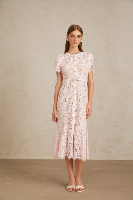 Cinzietta Midi Dress Pink Floral Lace Mermaid
