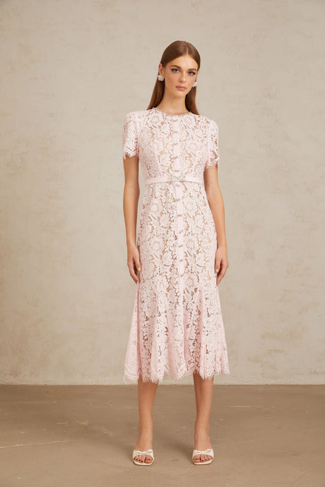 Cinzietta Midi Dress Pink Floral Lace Mermaid