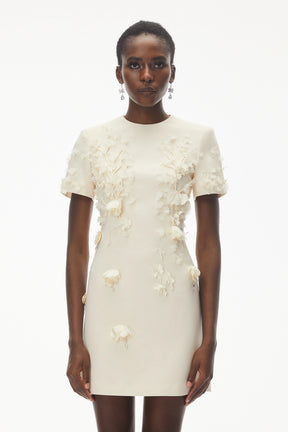 Skye Ivory Round Neck Mini Dress with Floral Applique