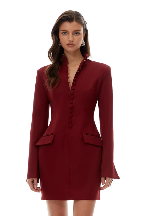 Delilah Mini Dress Burgundy Stand Collar Long Sleeve
