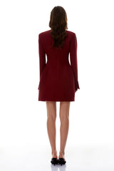 Valeria Burgundy Stand Collar Long Sleeve Mini Dress